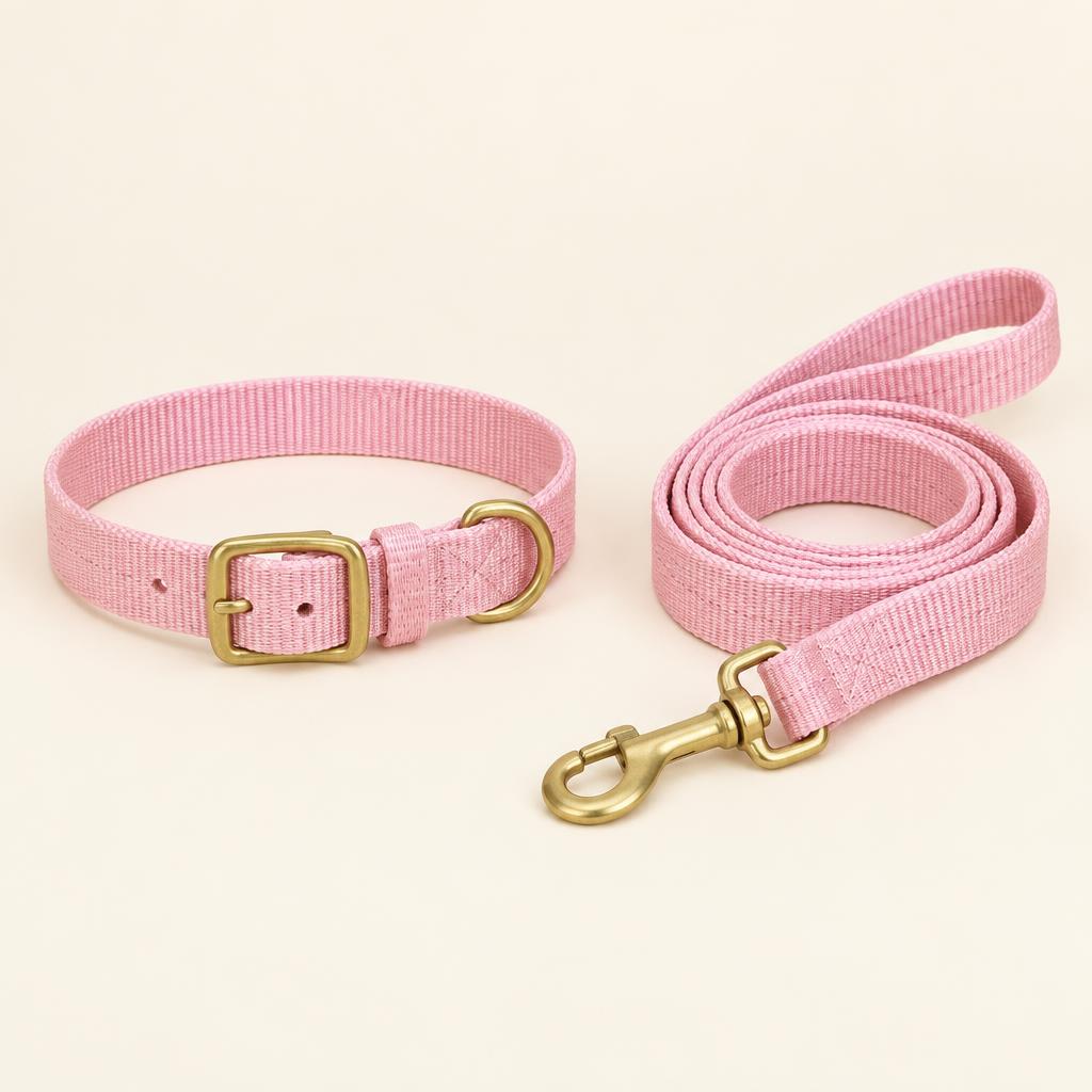 Pastel Collar & Leash Set